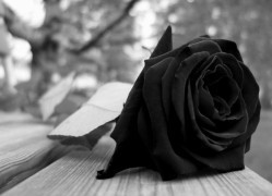 Nota de falecimento: oficial Gilson Aparecido Freire